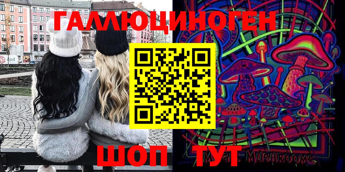 Севастополь  Псилоцибиновые грибы Psilocybine cubensis  Вход с VPN 